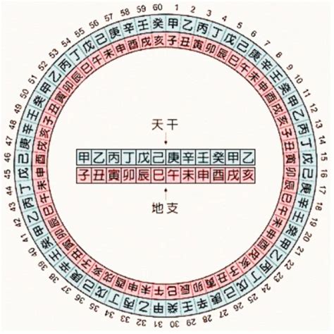 1993年天干|天干地支年份对照表